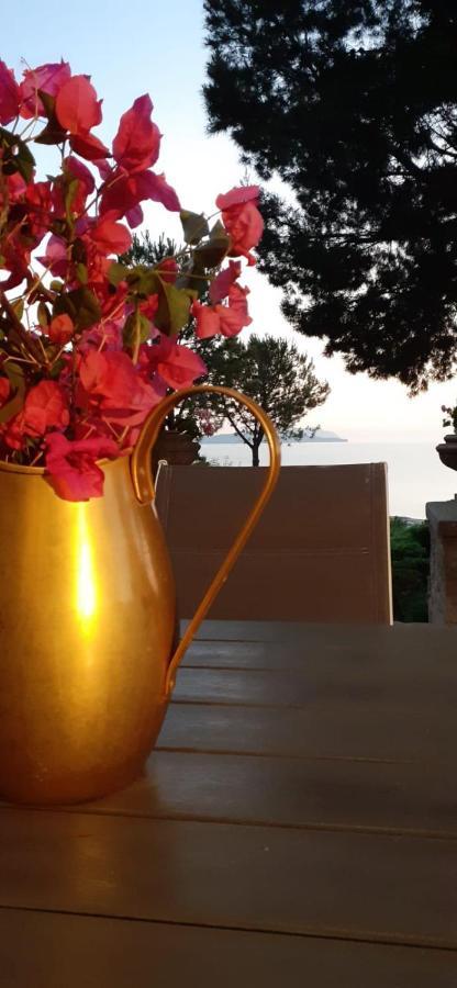 Casa "Le Terrazze" Villa Erice Luaran gambar
