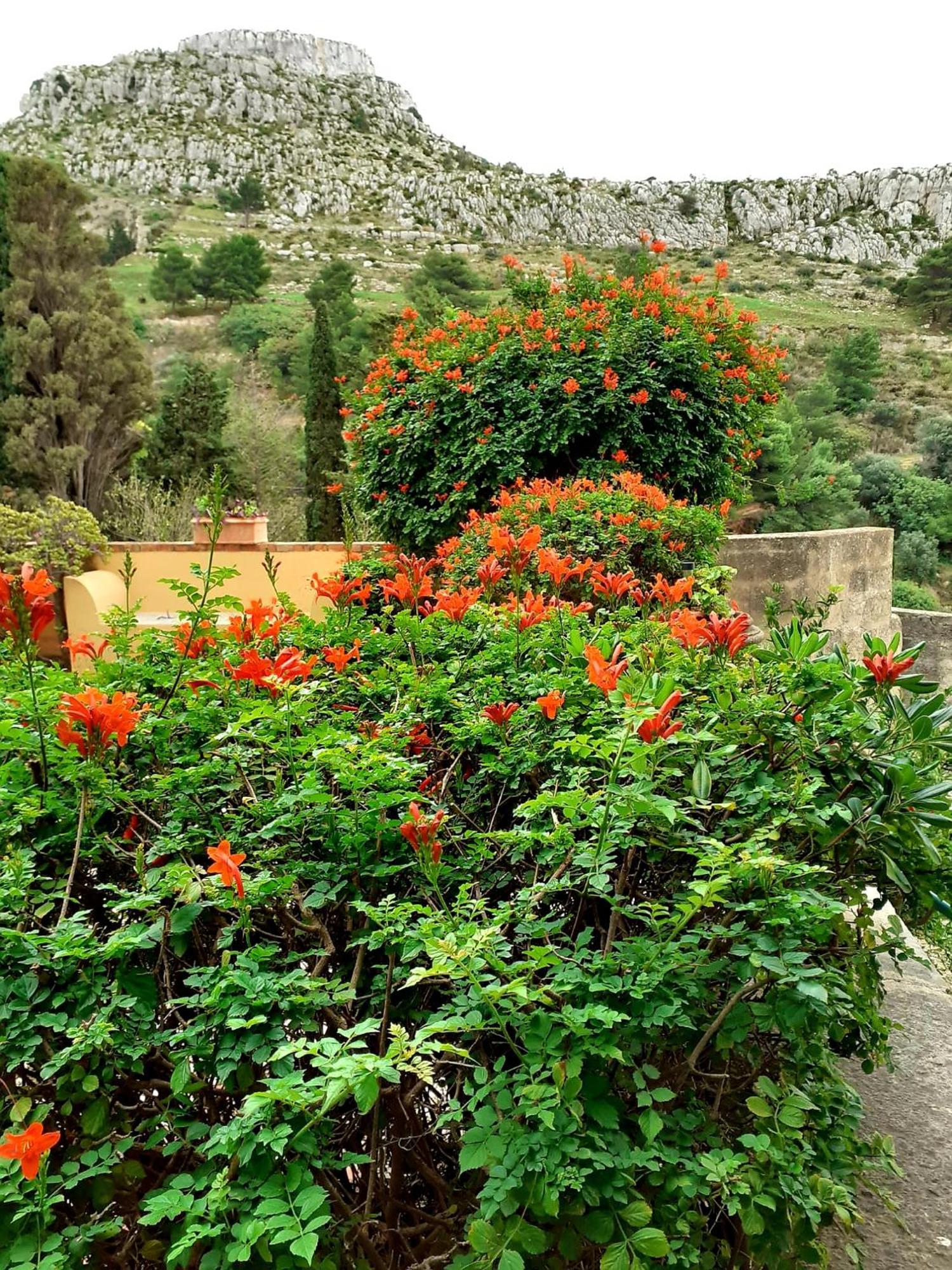 Casa "Le Terrazze" Villa Erice Luaran gambar