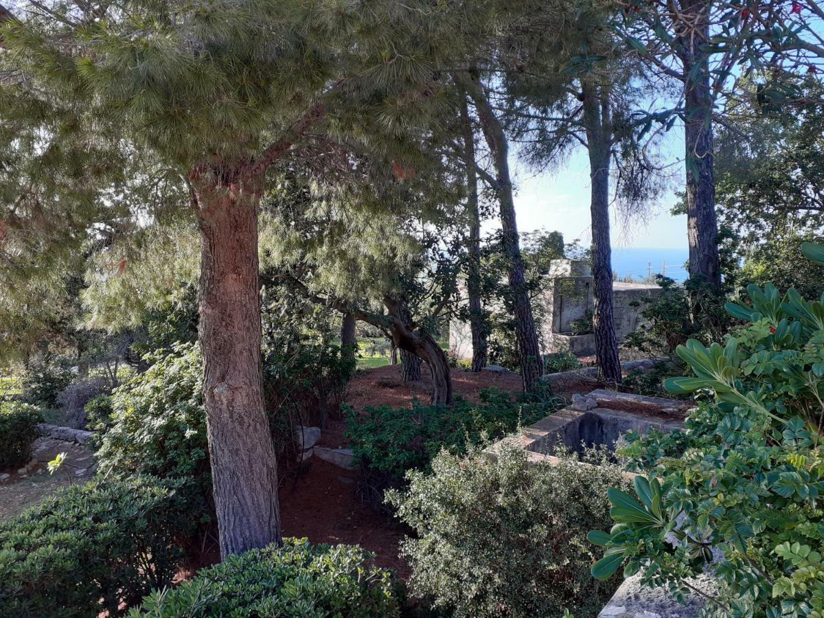 Casa "Le Terrazze" Villa Erice Luaran gambar